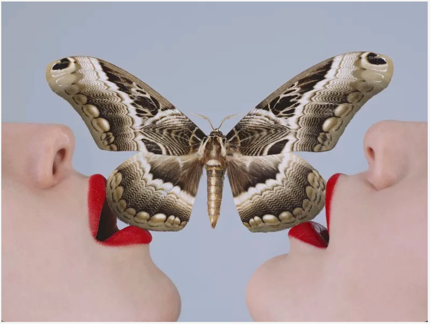Butterfly-Photographic Print-Tyler Shields-Sorrel Sky Gallery