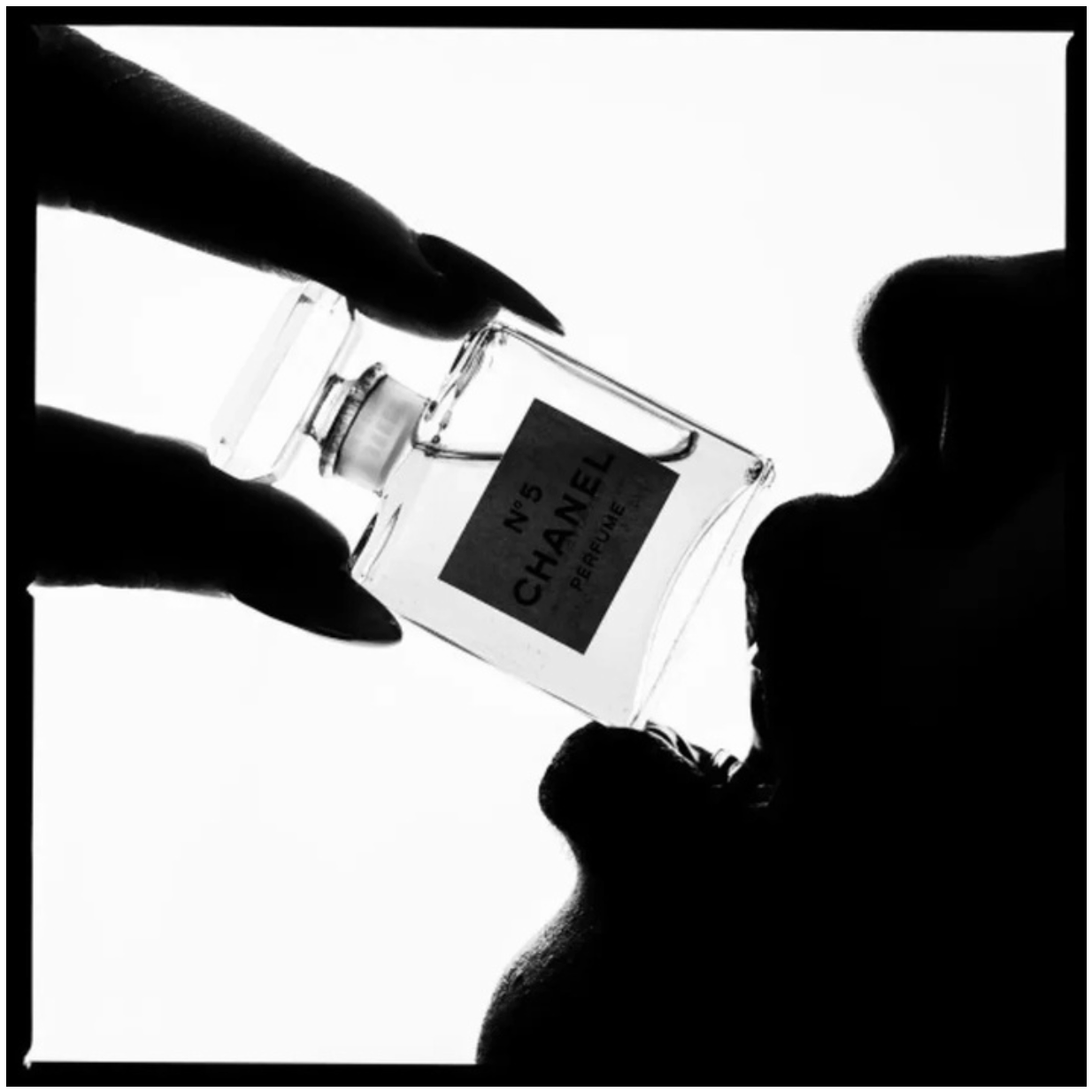 Chanel Silhouette-Photographic Print-Tyler Shields-Sorrel Sky Gallery