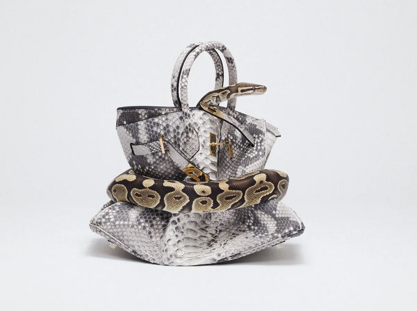 Python Birkin II-Photographic Print-Tyler Shields-Sorrel Sky Gallery