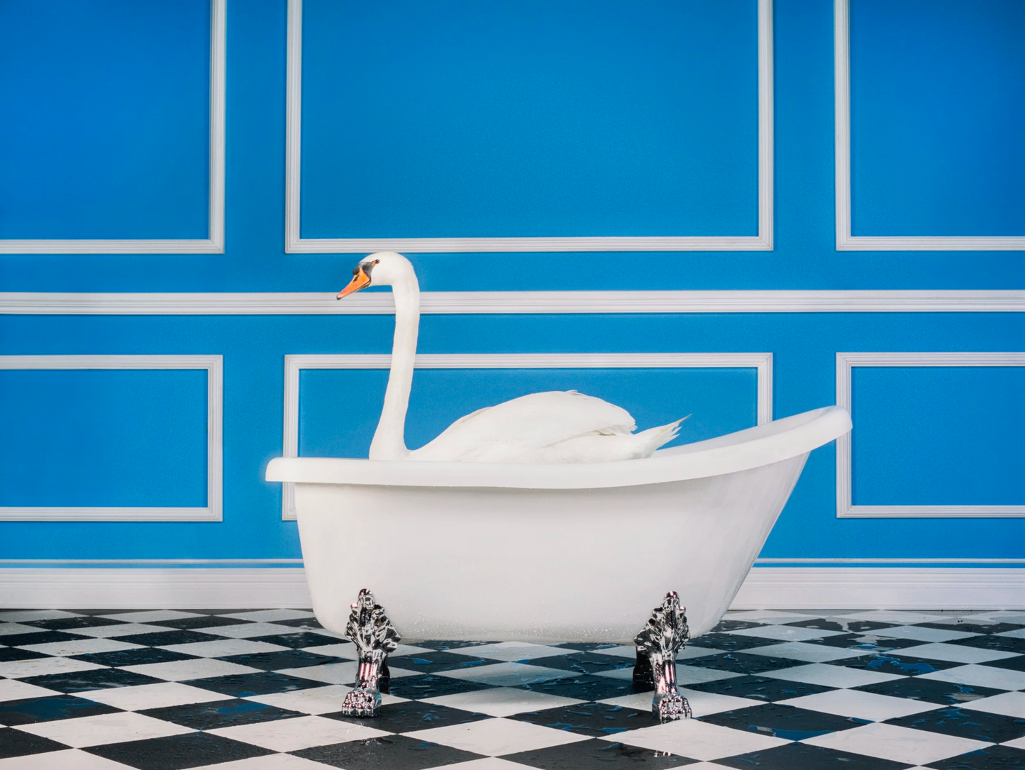 The Swan-Photographic Print-Tyler Shields-Sorrel Sky Gallery