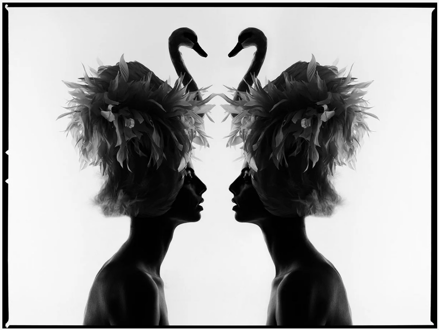 The Two Swans-Photographic Print-Tyler Shields-Sorrel Sky Gallery
