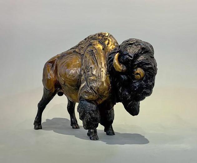 Bison