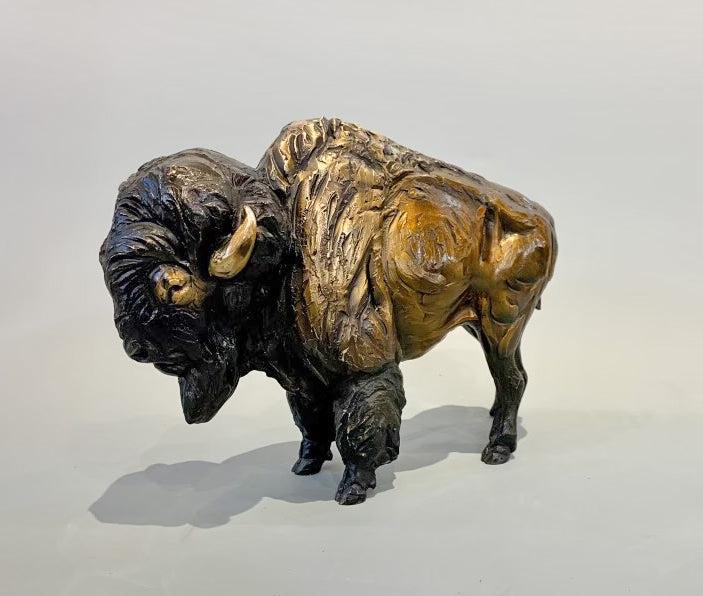 Bison