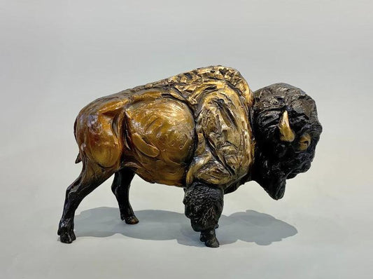 Bison