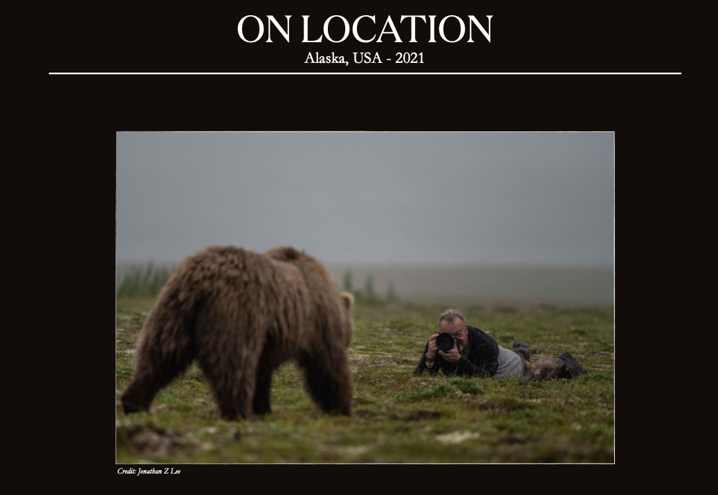 Bearish III-Photographic Print-David Yarrow-Sorrel Sky Gallery