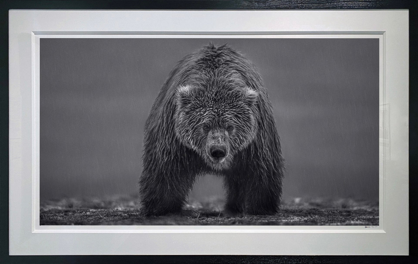 Bearish II