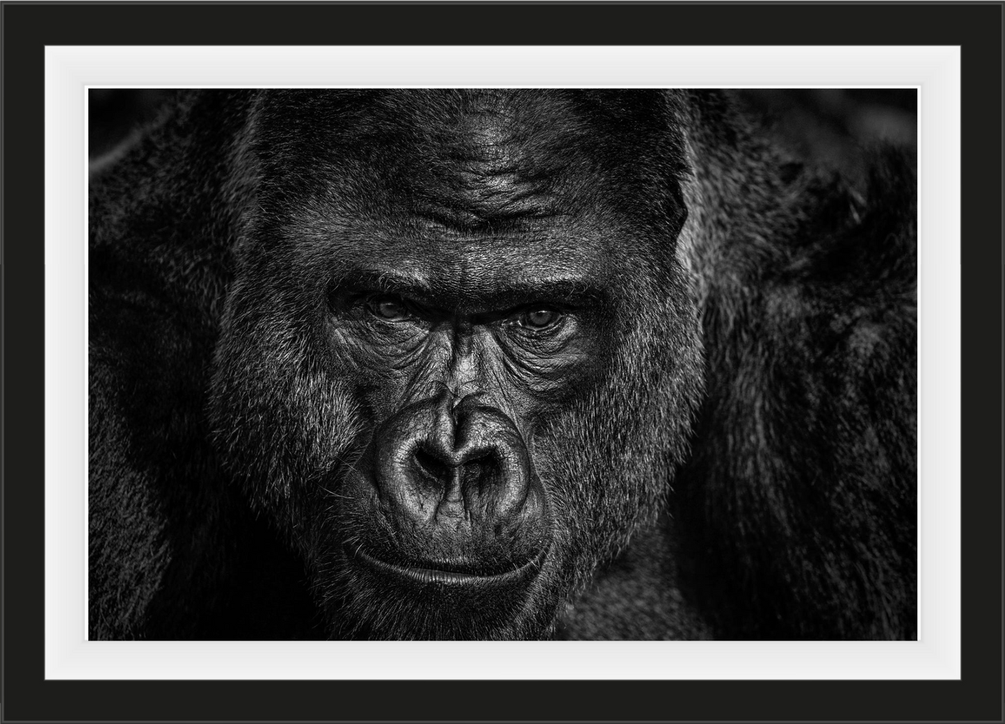 David Yarrow at Sorrel Sky Gallery