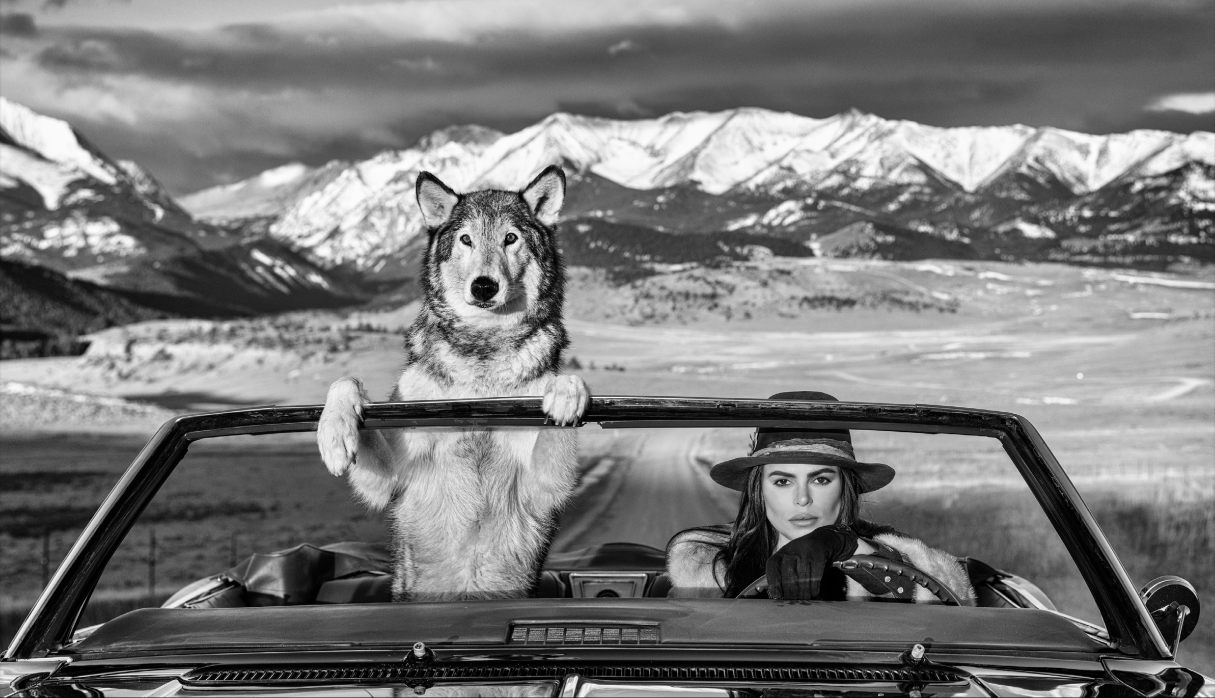 david yarrow camera