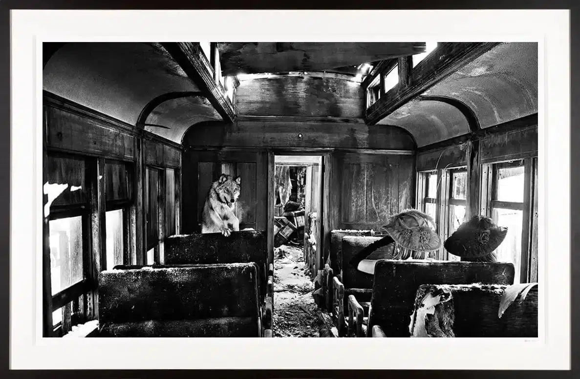 Ride The Ghost Train
