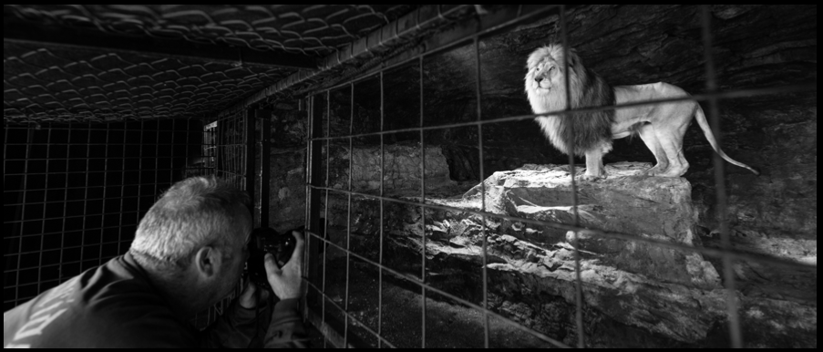The Book of Daniel-Photographic Print-David Yarrow-Sorrel Sky Gallery