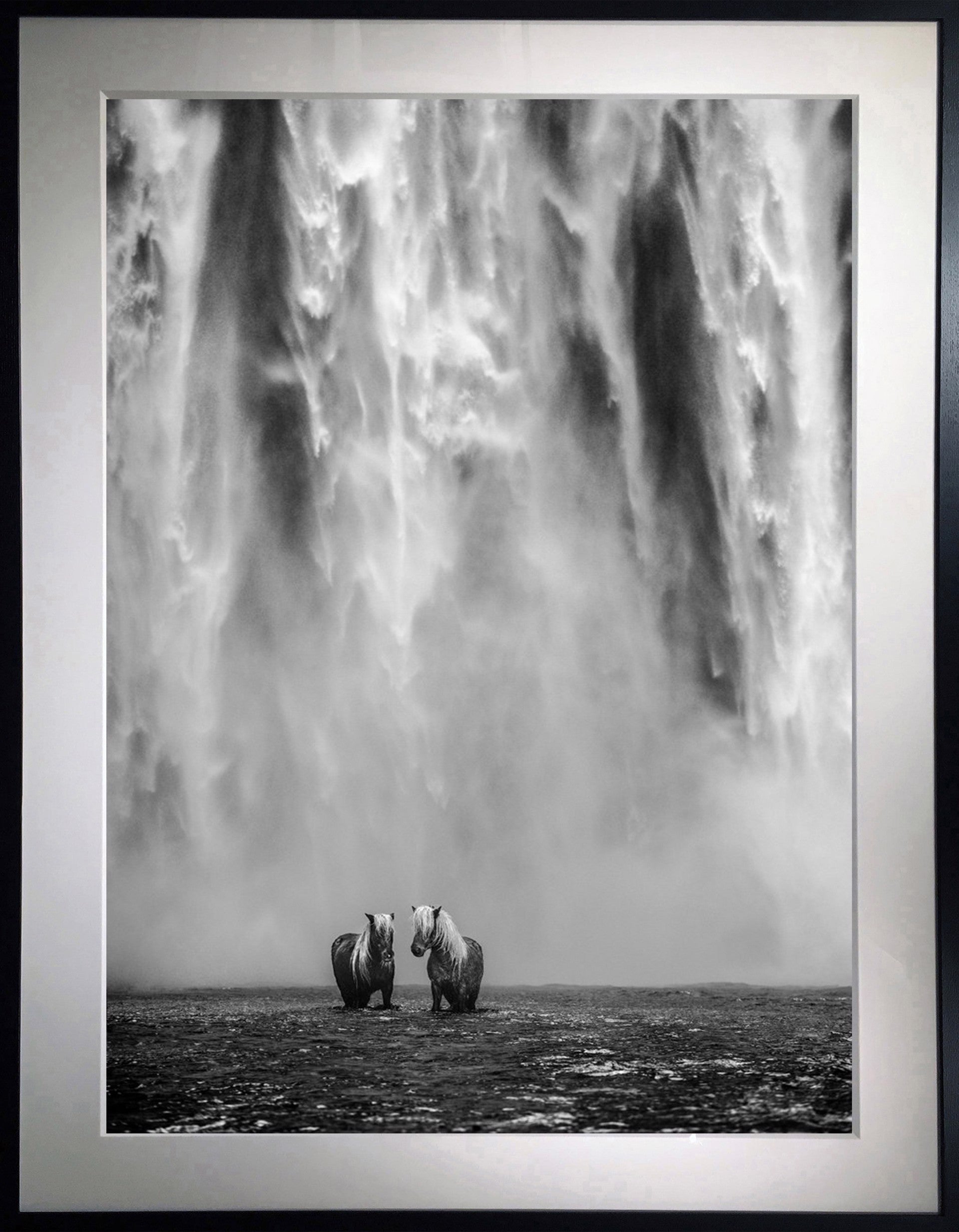 The Dream-Photographic Print-David Yarrow-Sorrel Sky Gallery