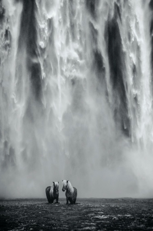 The Dream-Photographic Print-David Yarrow-Sorrel Sky Gallery