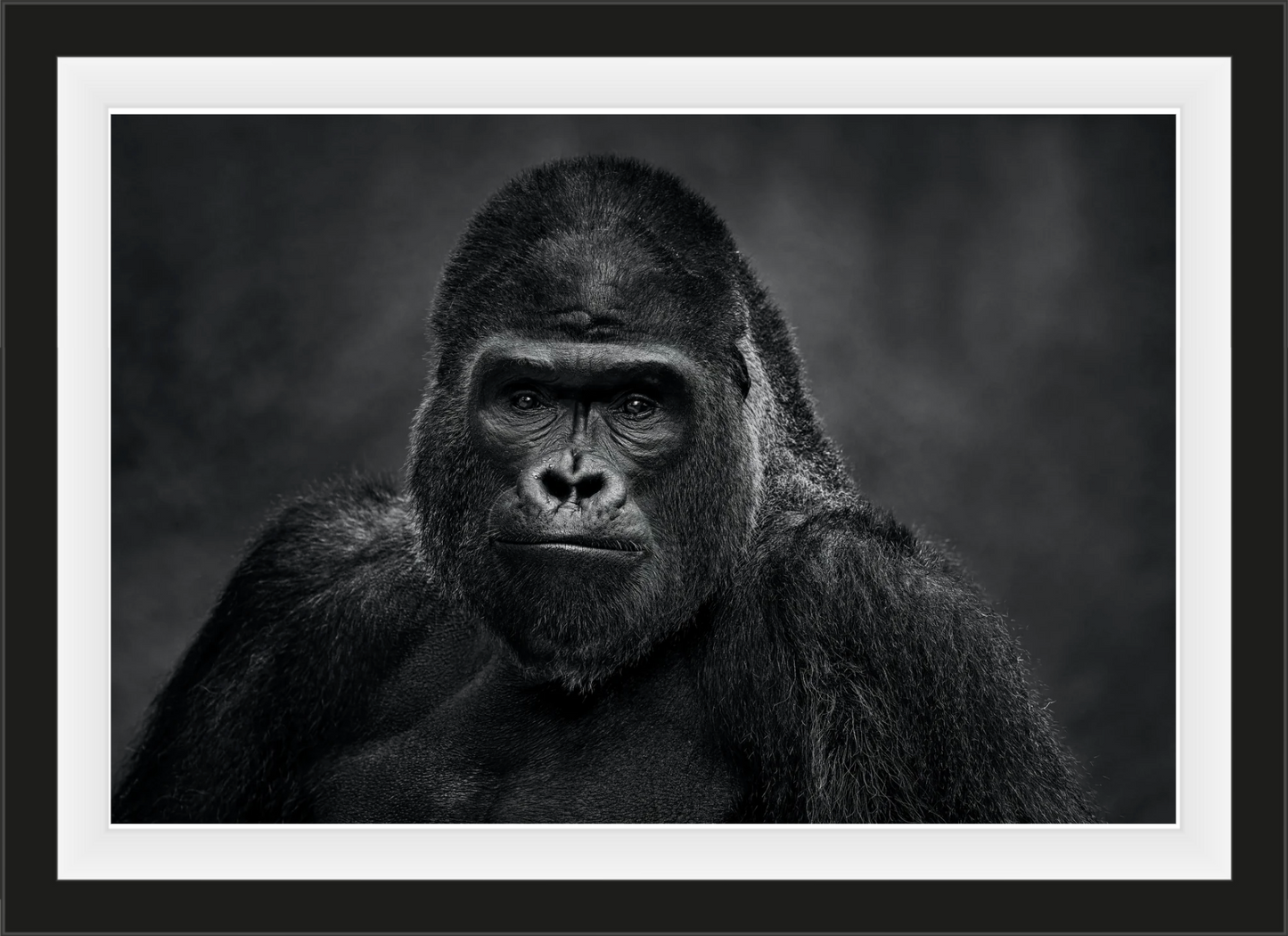 David Yarrow at Sorrel Sky Gallery