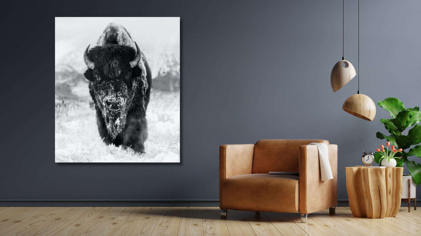 The Snowman-Photographic Print-David Yarrow-Sorrel Sky Gallery