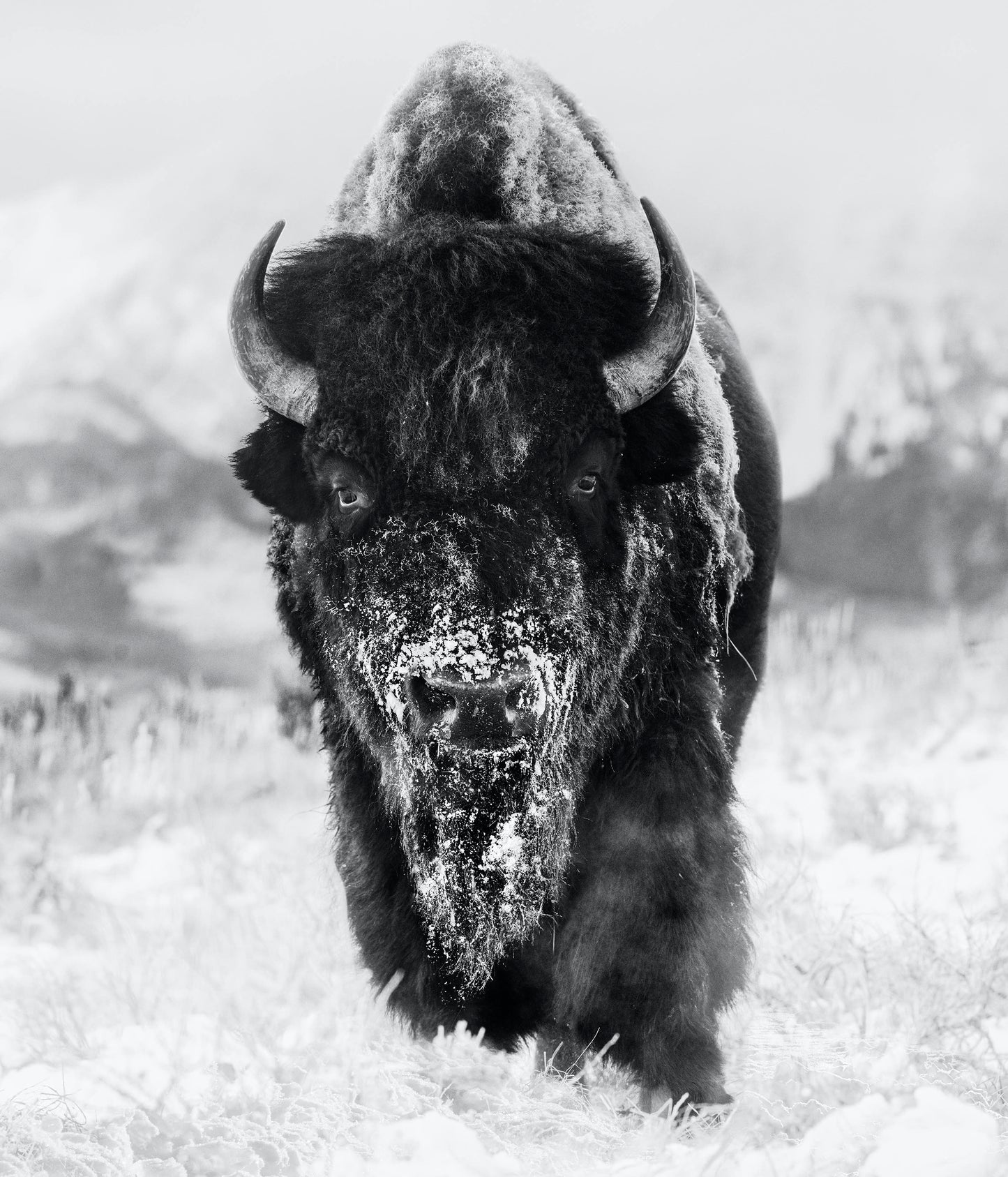 The Snowman-Photographic Print-David Yarrow-Sorrel Sky Gallery