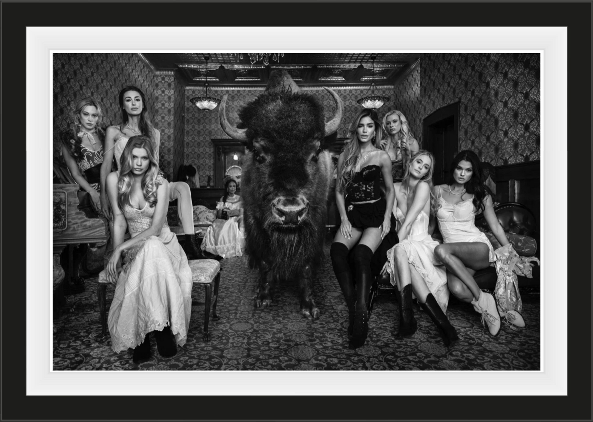 Where the Buffalo Roam-Photographic Print-David Yarrow-Sorrel Sky Gallery