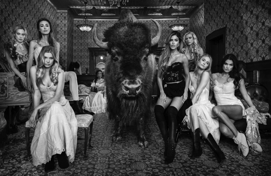 Where the Buffalo Roam-Photographic Print-David Yarrow-Sorrel Sky Gallery