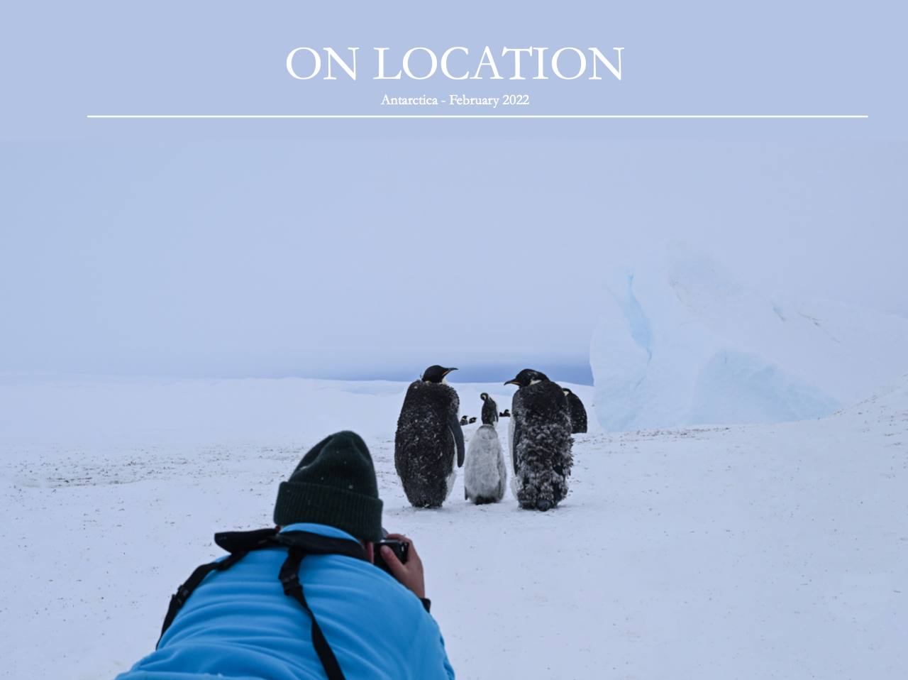 Who's Gonna Tell Him?-Photographic Print-David Yarrow-Sorrel Sky Gallery