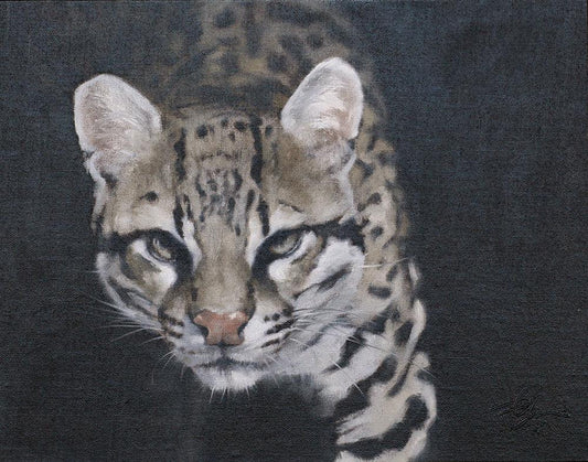 From Shadow-Painting-Doyle Hostetler-Sorrel Sky Gallery