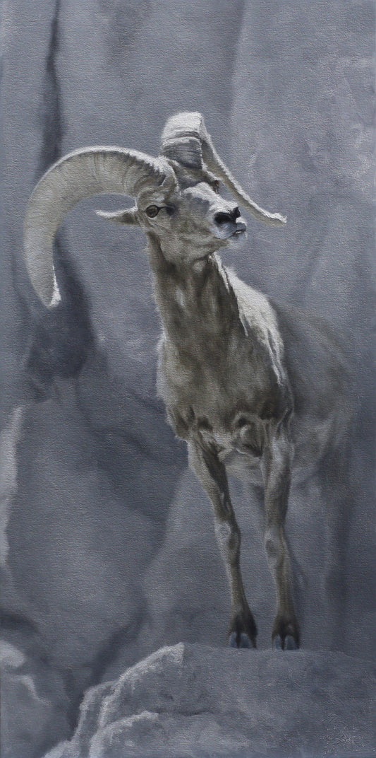 Hard Headed-Painting-Doyle Hostetler-Sorrel Sky Gallery