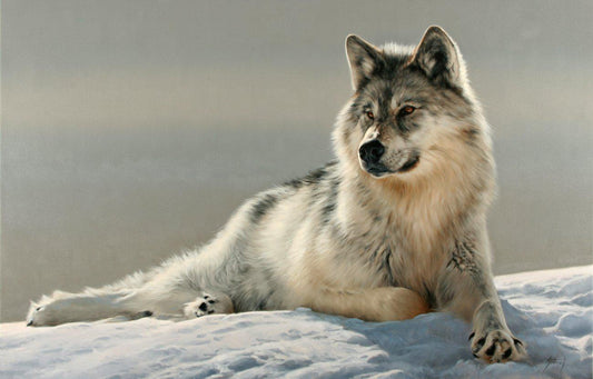 Silent Witness-Painting-Edward Aldrich-Sorrel Sky Gallery