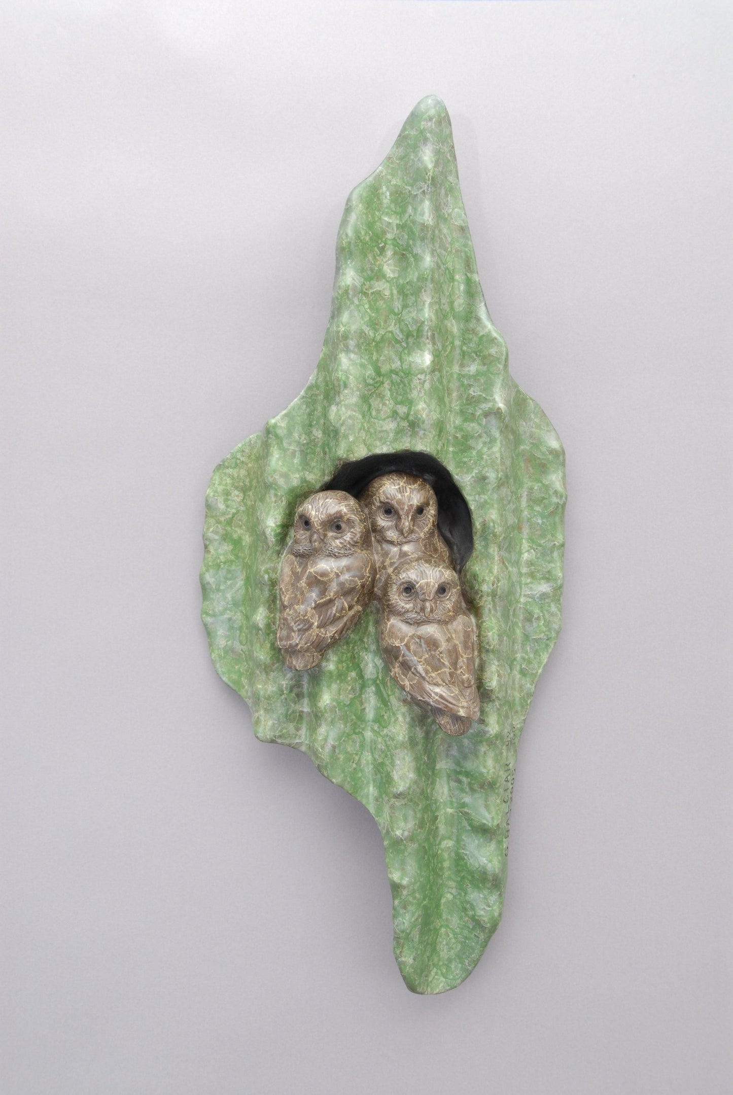 House Of Saguaro