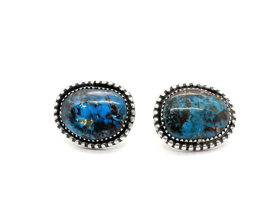 Bisbee Post Earrings-jewelry-Jeanette Dale-Sorrel Sky Gallery