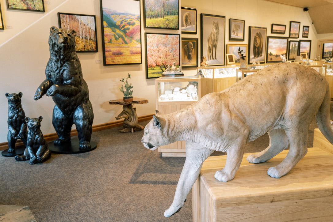 Cougar - Lifesize