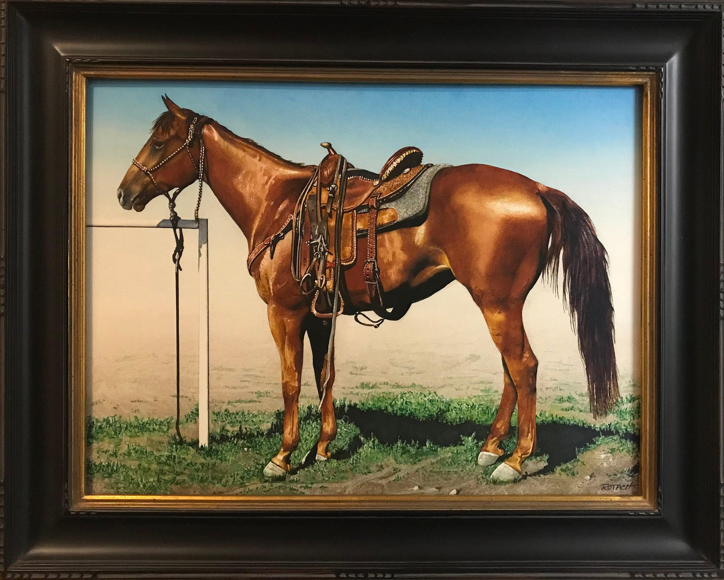 Cow Pony #2