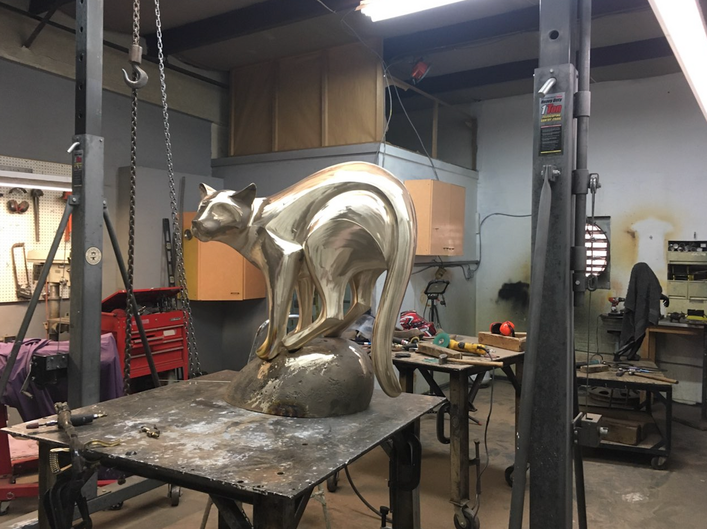 40" Puma