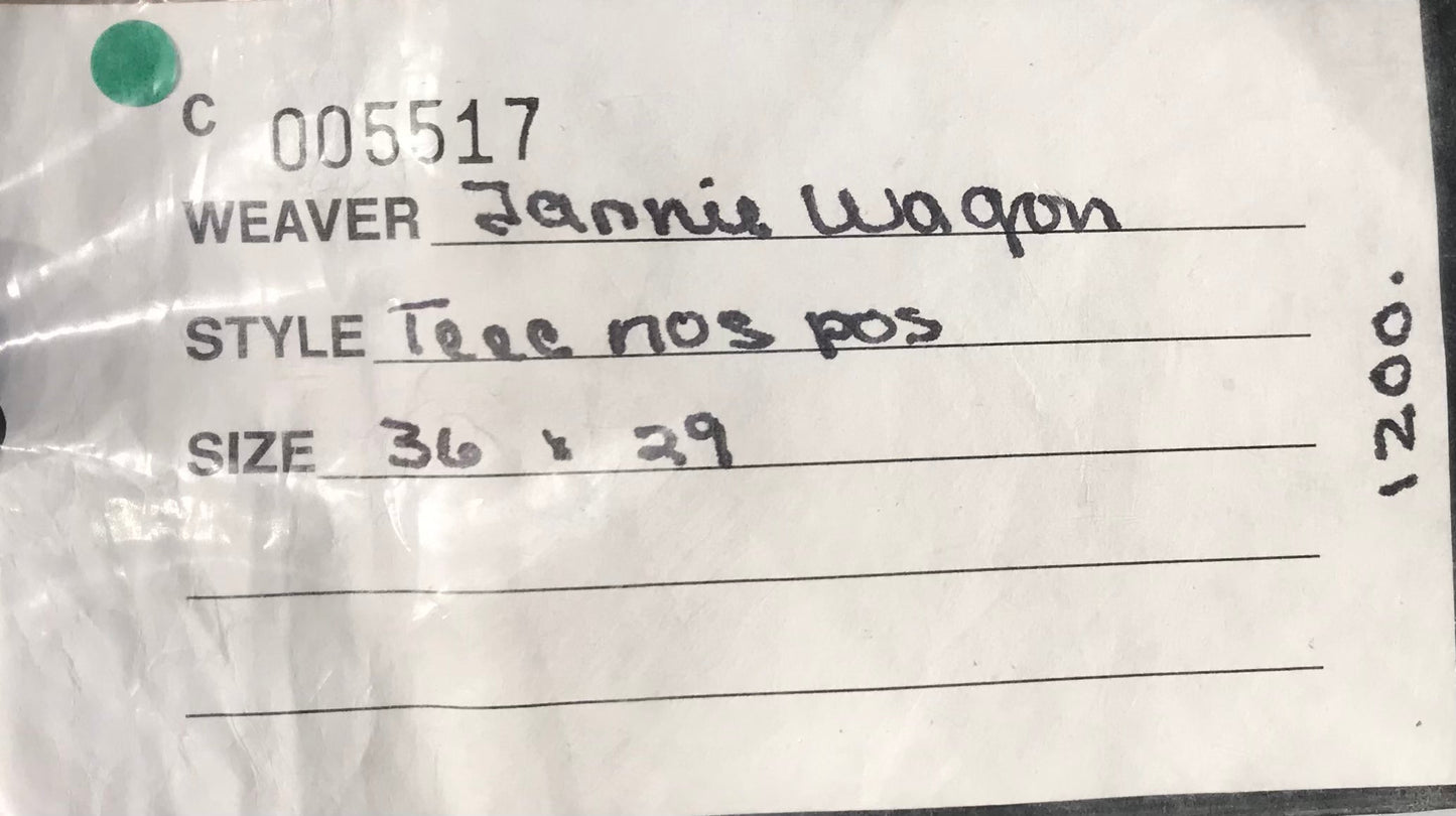 Teec Nos Pos by Jeannie Wagon