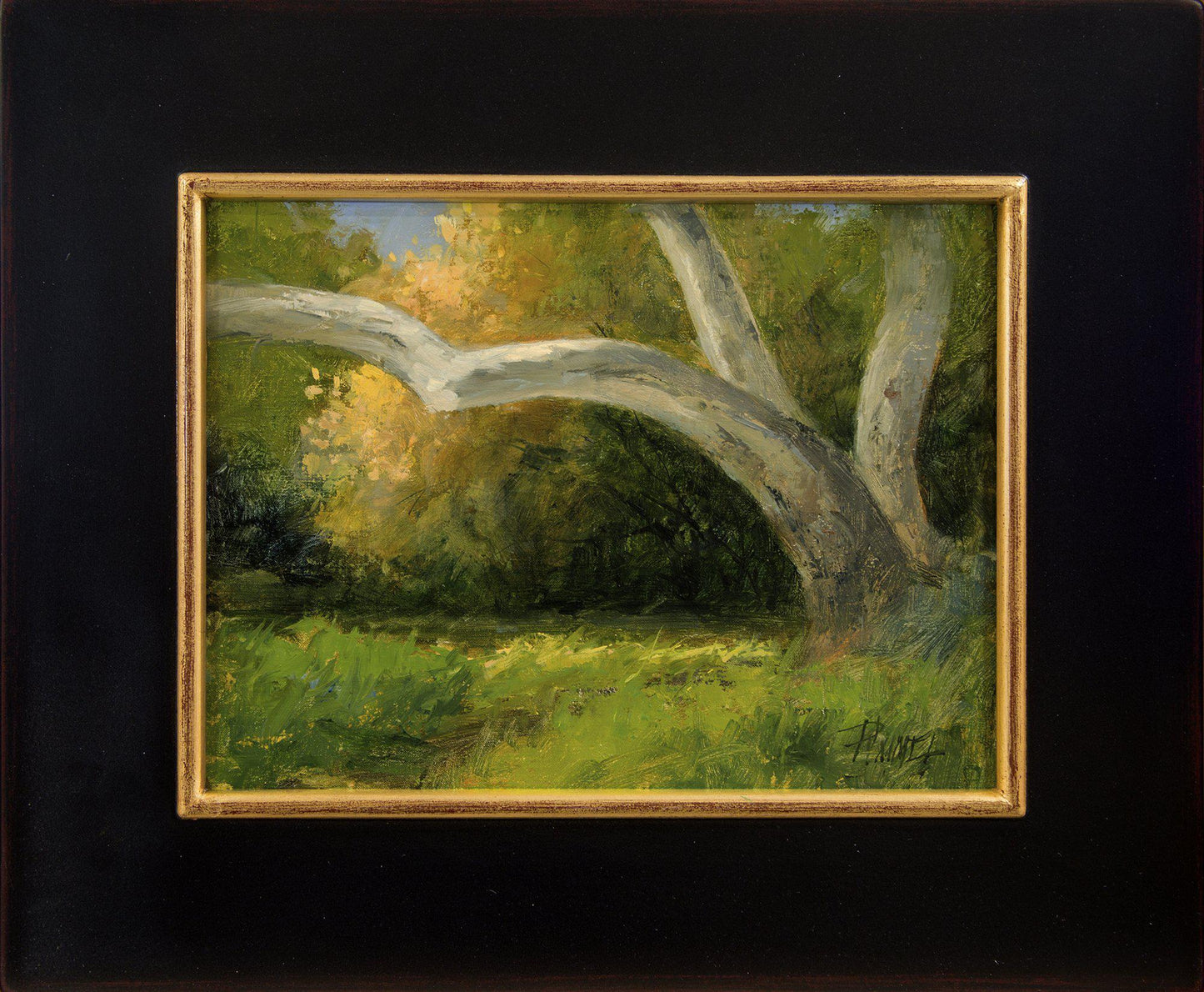 Morning Sycamore-Painting-Peggy Immel-Sorrel Sky Gallery