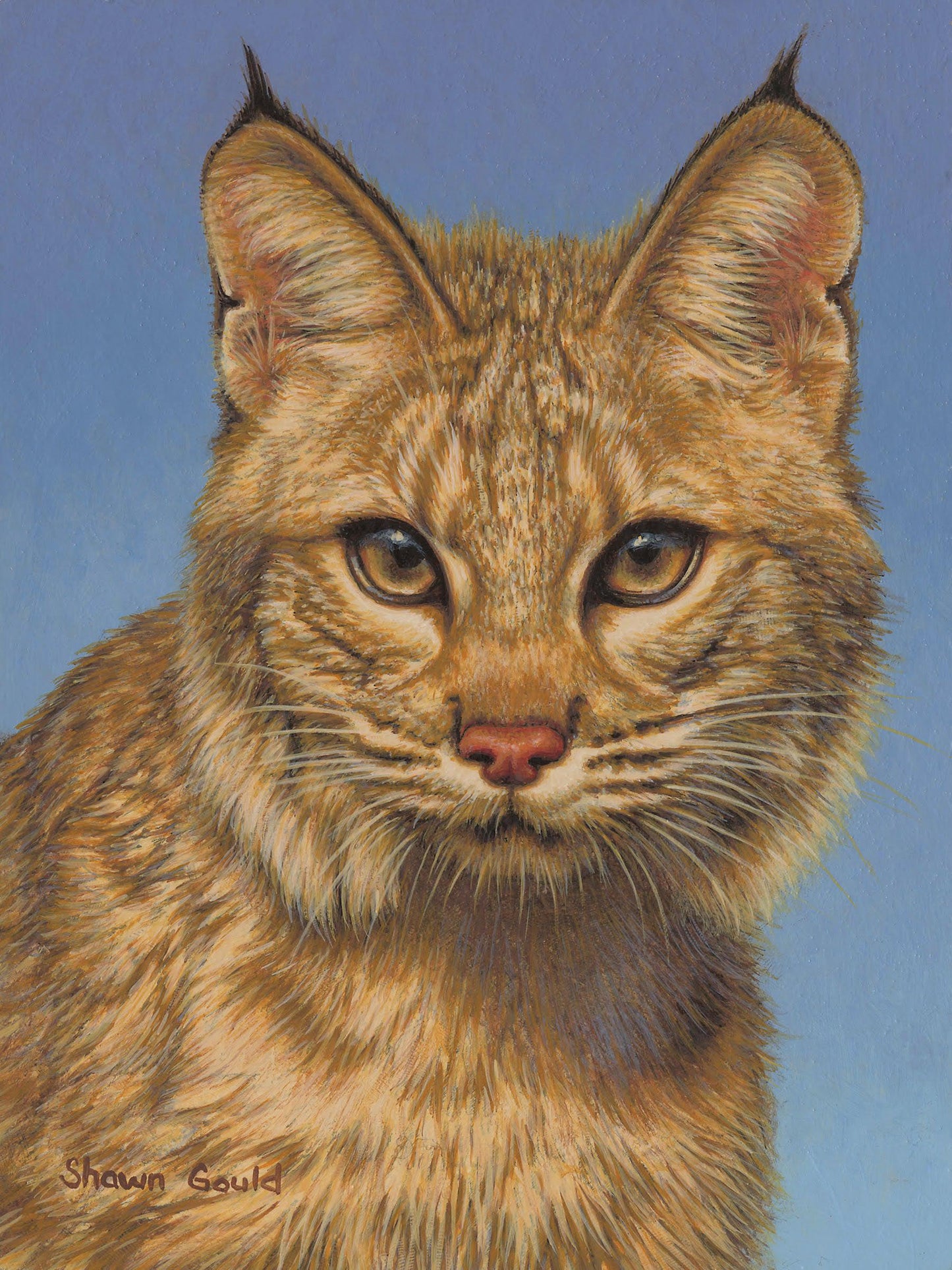 Bright Eyes-Painting-Shawn Gould-Sorrel Sky Gallery