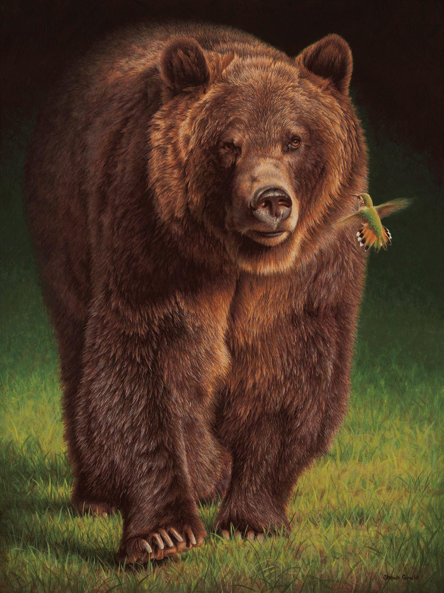 Eye to Eye-Painting-Shawn Gould-Sorrel Sky Gallery