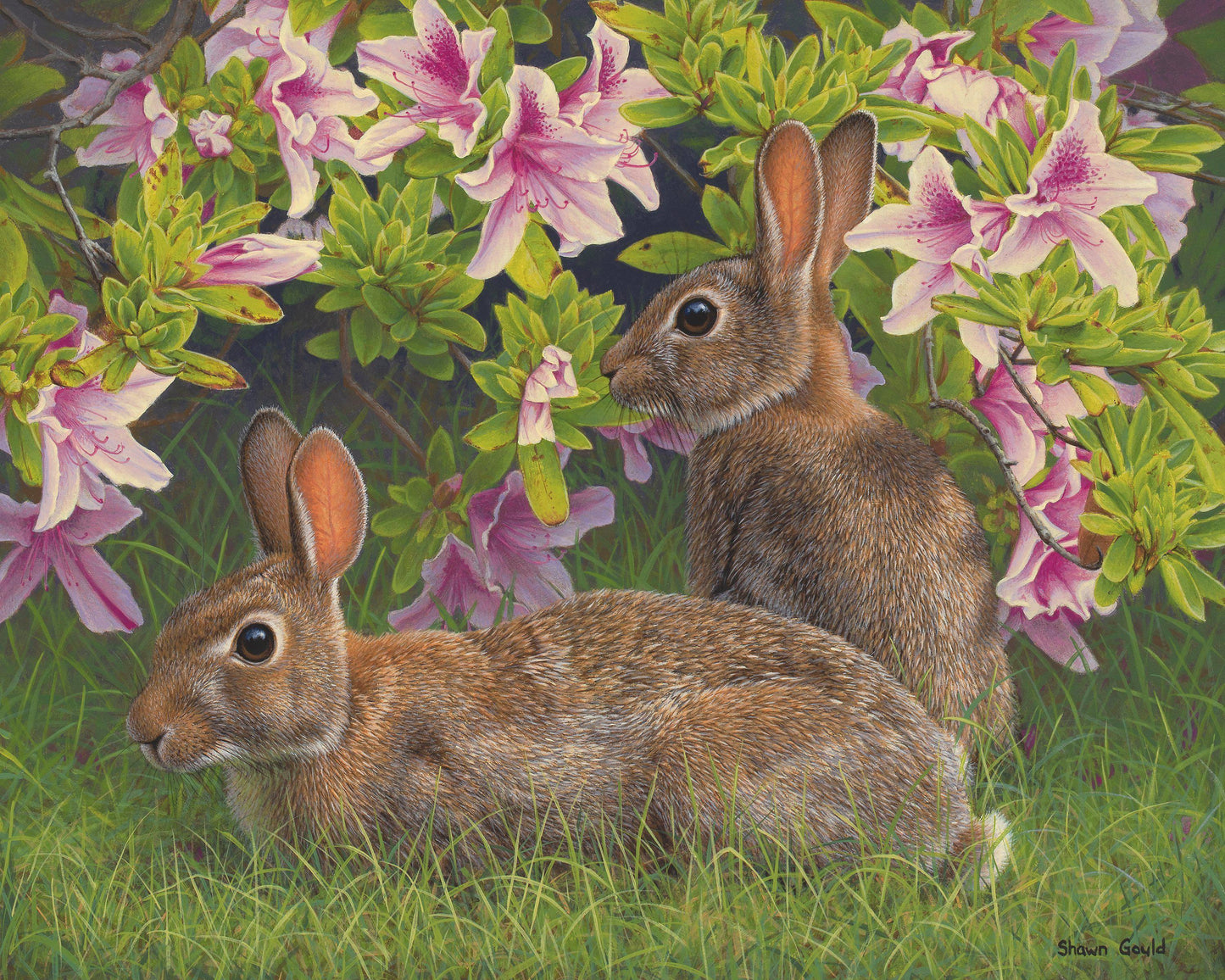 Garden Harmony-Painting-Shawn Gould-Sorrel Sky Gallery