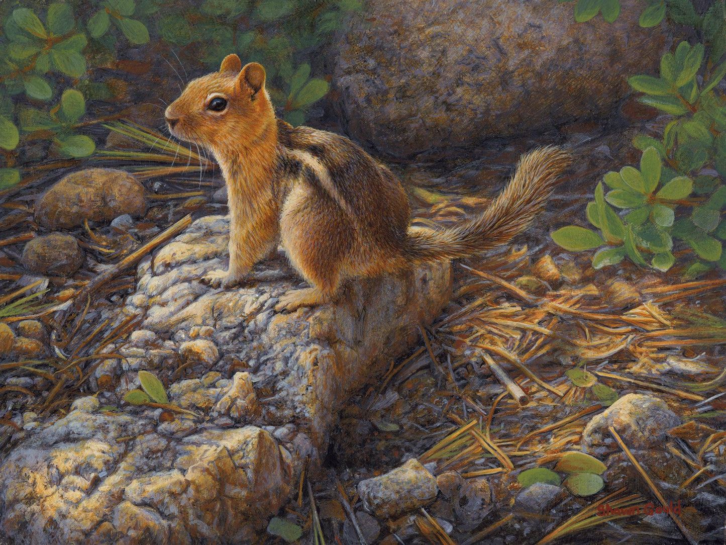 In the Spotlight-Painting-Shawn Gould-Sorrel Sky Gallery