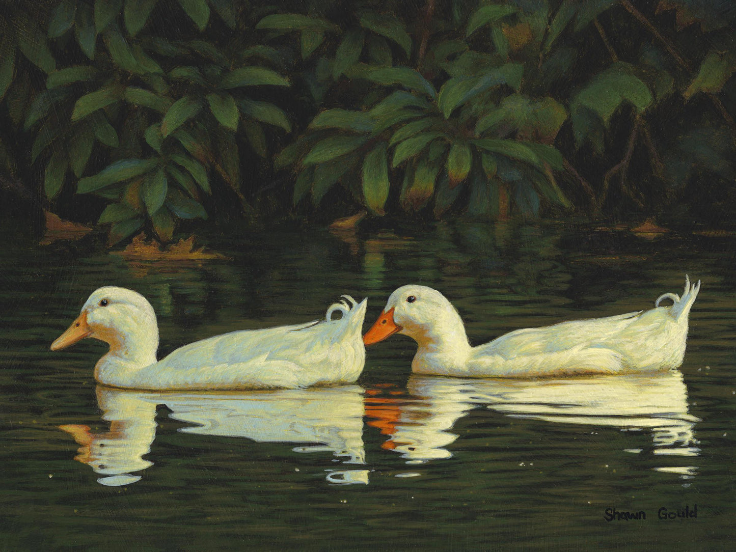 Peaceful Paddle-Painting-Shawn Gould-Sorrel Sky Gallery