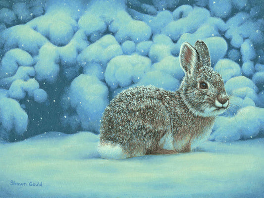 Silent Night