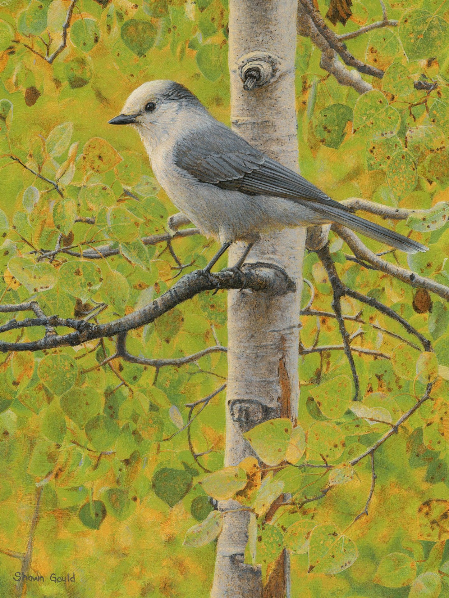 Watchful Eye-Painting-Shawn Gould-Sorrel Sky Gallery