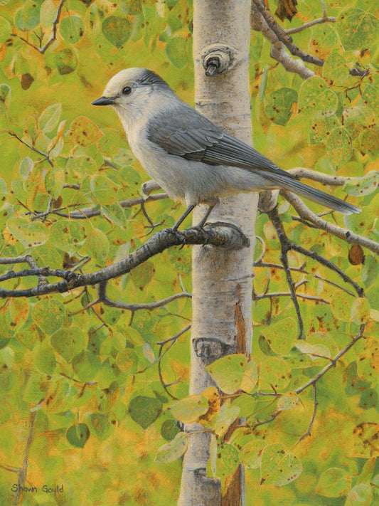 Watchful Eye-Painting-Shawn Gould-Sorrel Sky Gallery