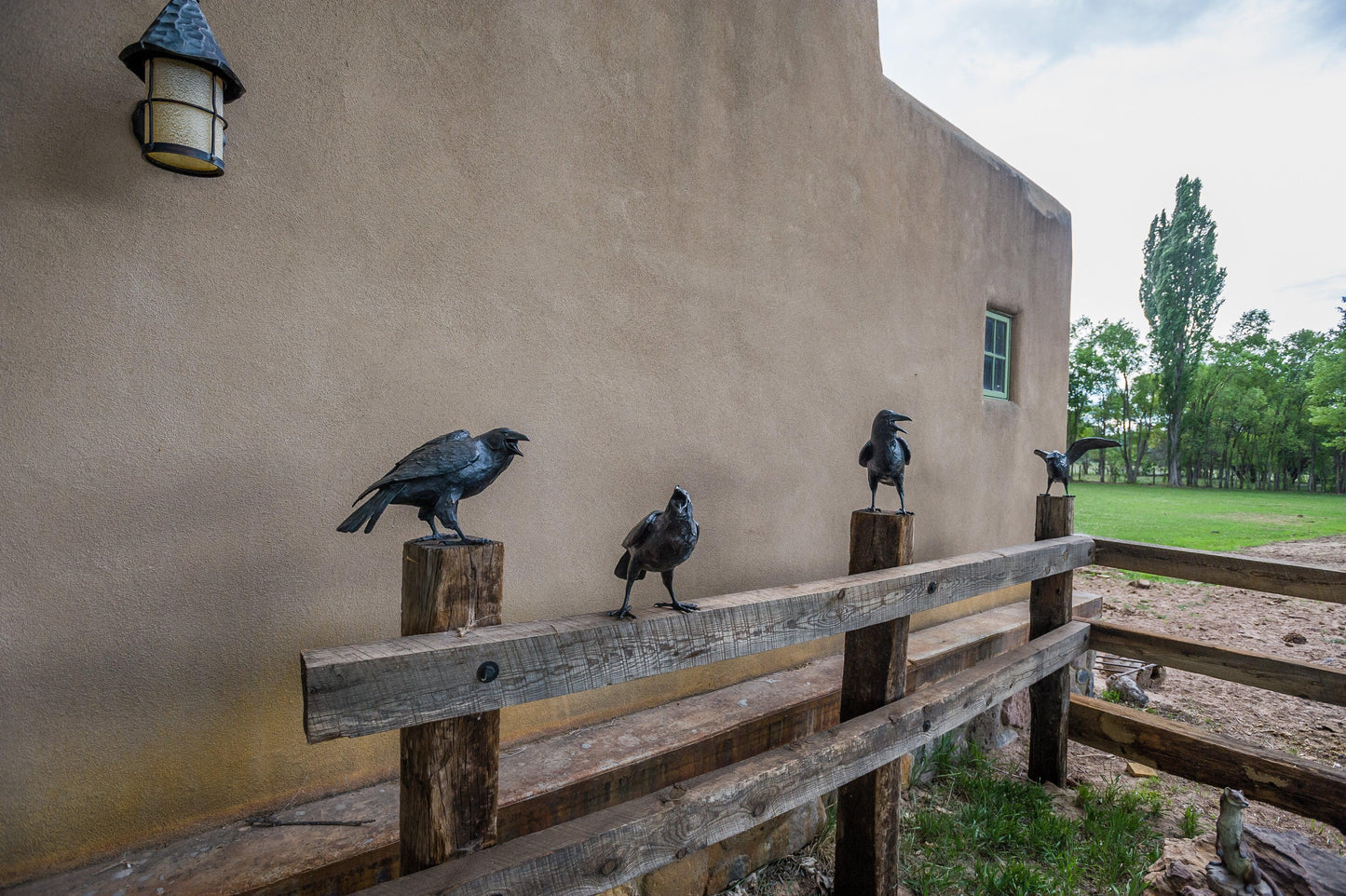 Board Meeting - Set of 5 Ravens