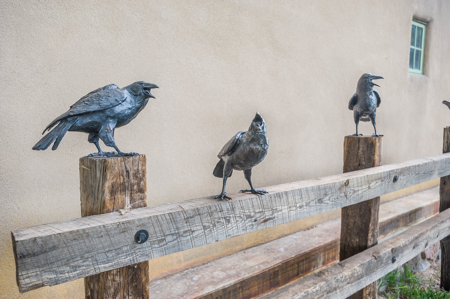 Board Meeting - Set of 5 Ravens