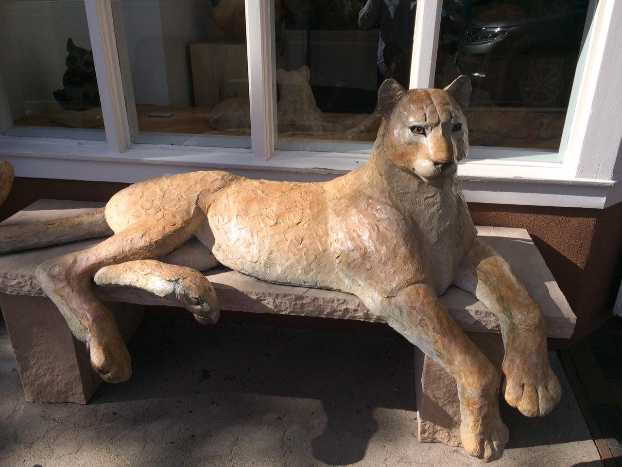 Catamount - Set of 2 Mountain Lions