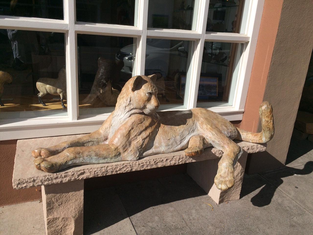 Catamount - Set of 2 Mountain Lions