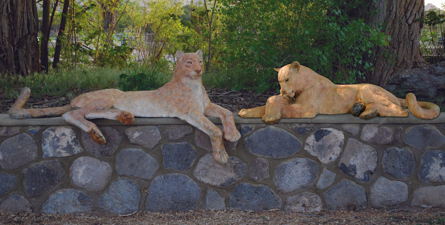 Catamount - Set of 2 Mountain Lions