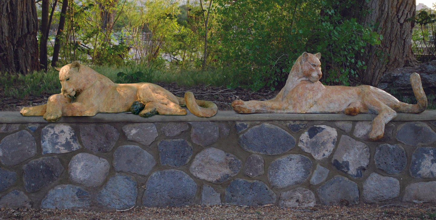Catamount - Set of 2 Mountain Lions