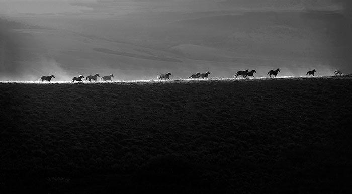 First Light-Photographic Print-Tony Stromberg-Sorrel Sky Gallery