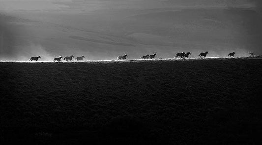 First Light-Photographic Print-Tony Stromberg-Sorrel Sky Gallery