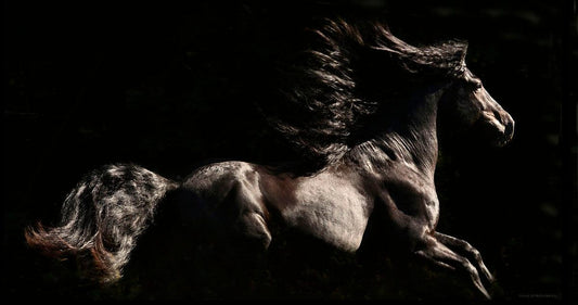 Thor II-Photographic Print-Tony Stromberg-Sorrel Sky Gallery