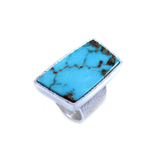 Darryl Dean & Rebecca Begay-Sorrel Sky Gallery-Jewelry-Royston Ring